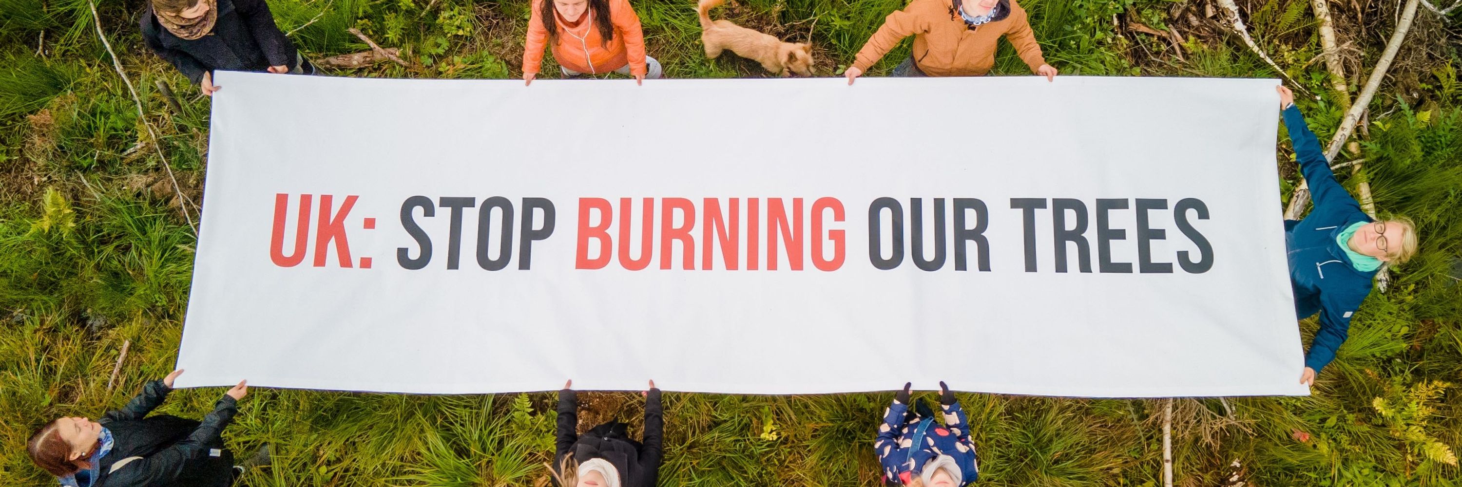 Cut Carbon Not Forests