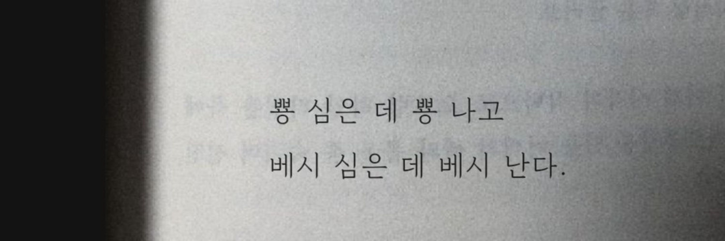 농굴🏀 