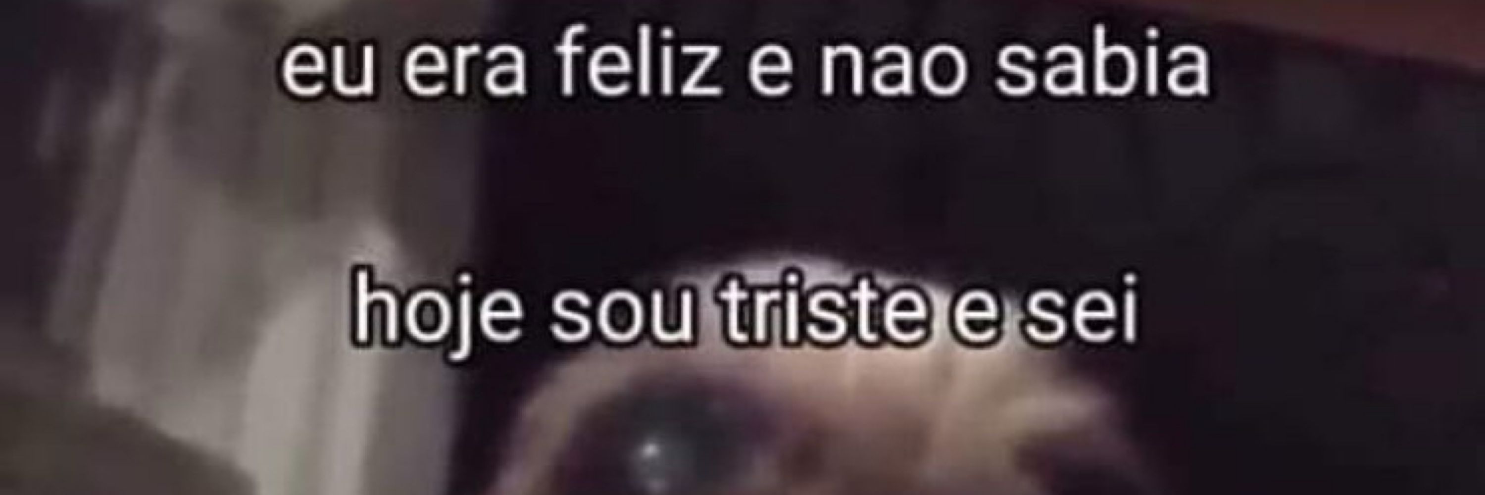 Viniboy