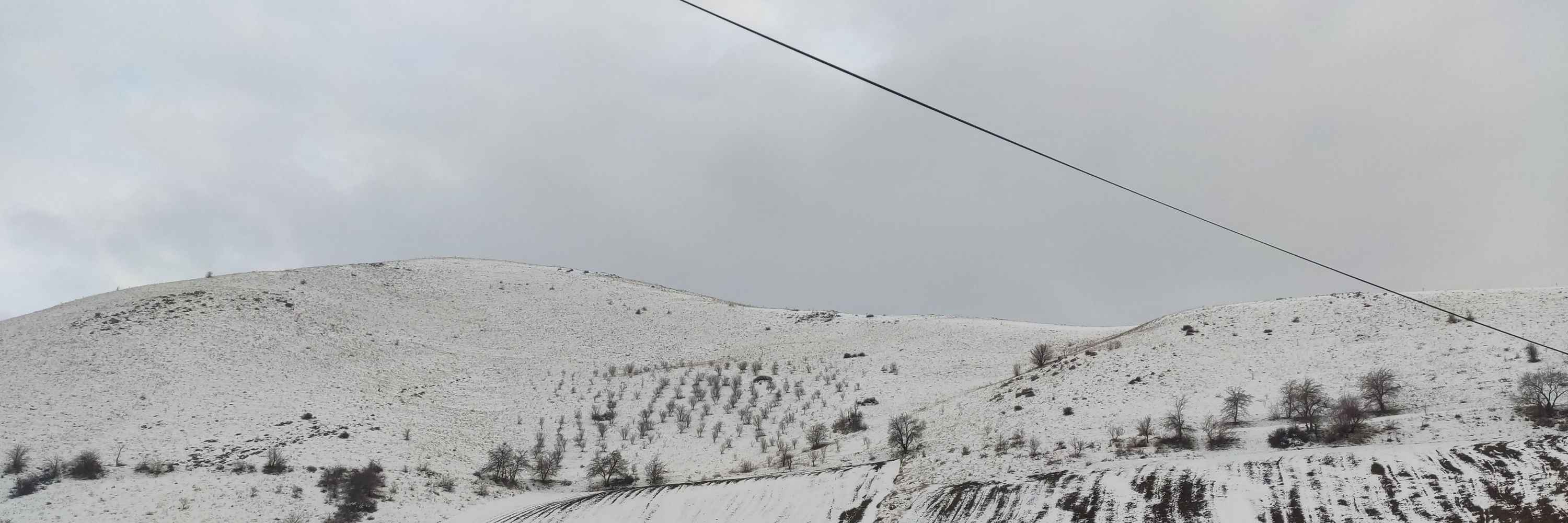 Peyman
