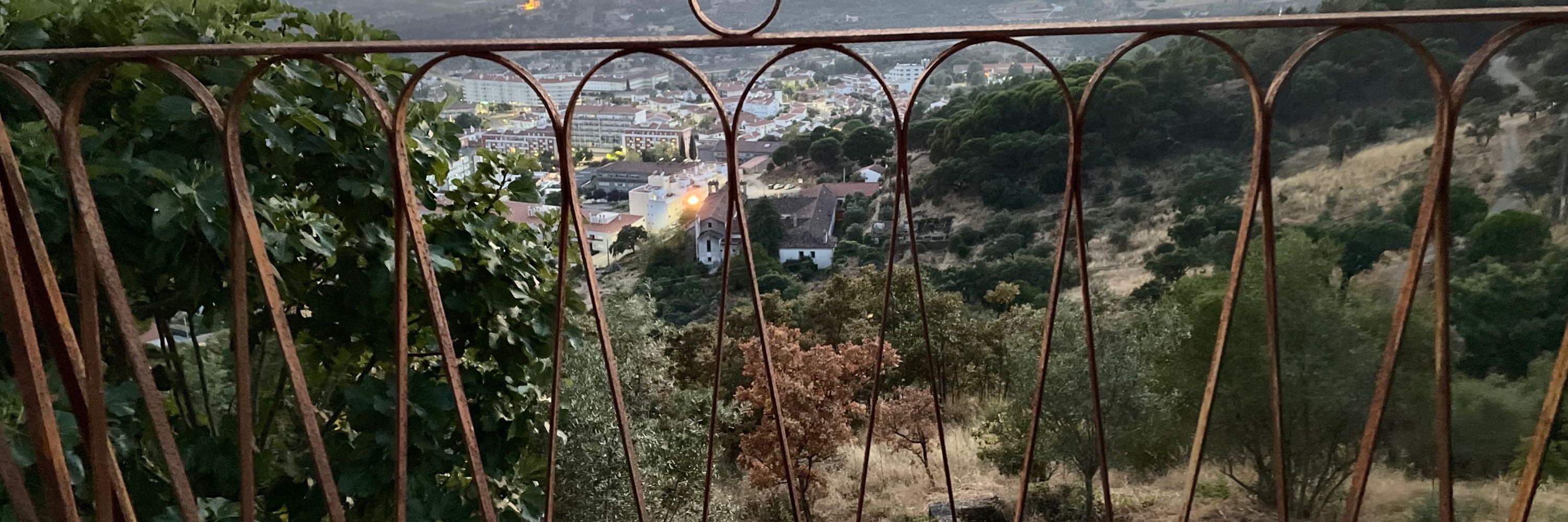 Juca Falcão 