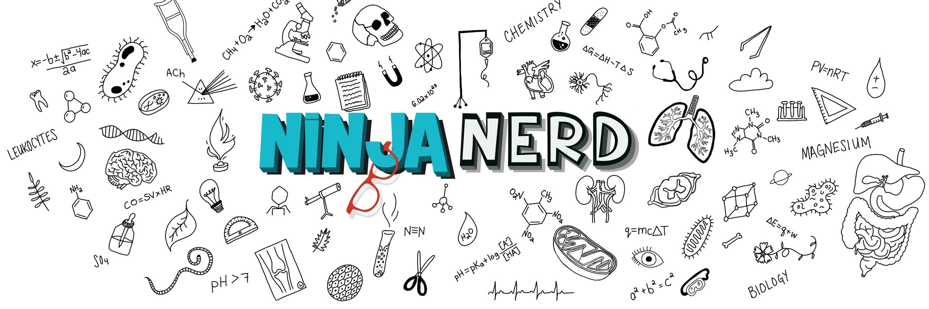 Ninja Nerd
