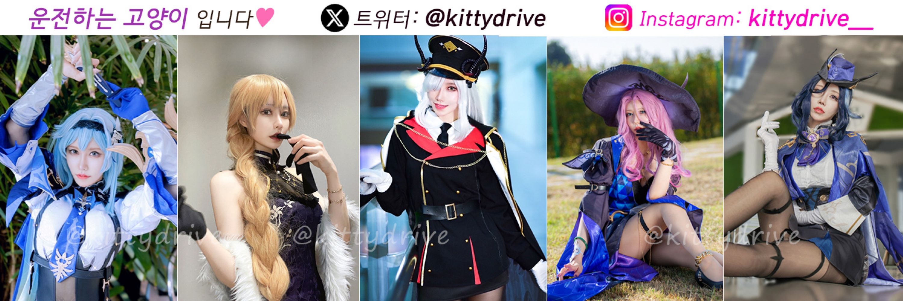 운전하는고양이