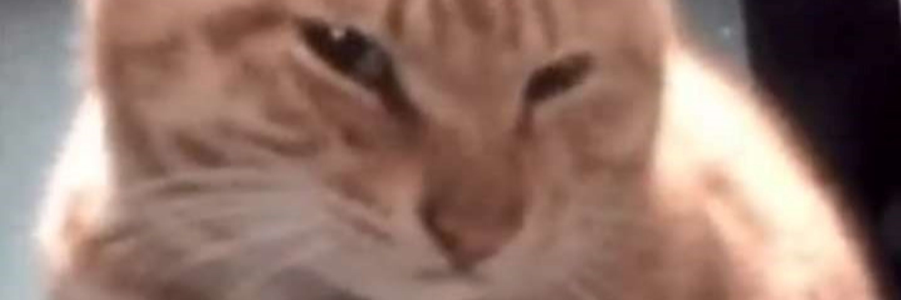 Floood