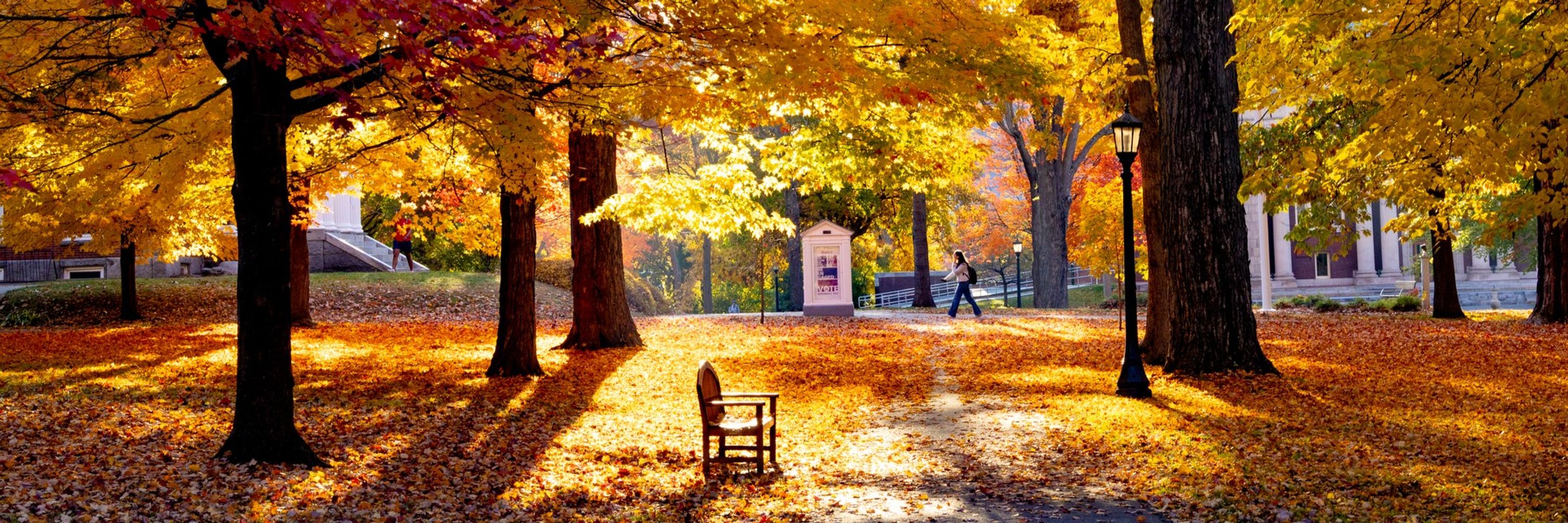 Bates College
