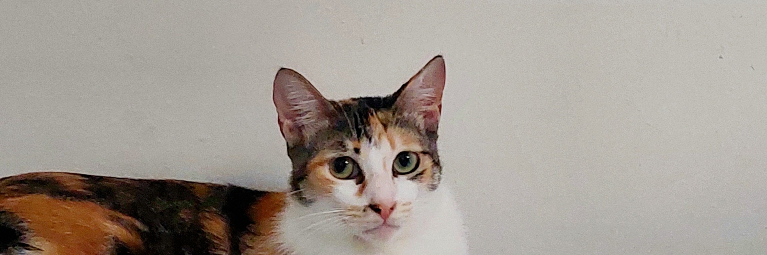 Evelyn 