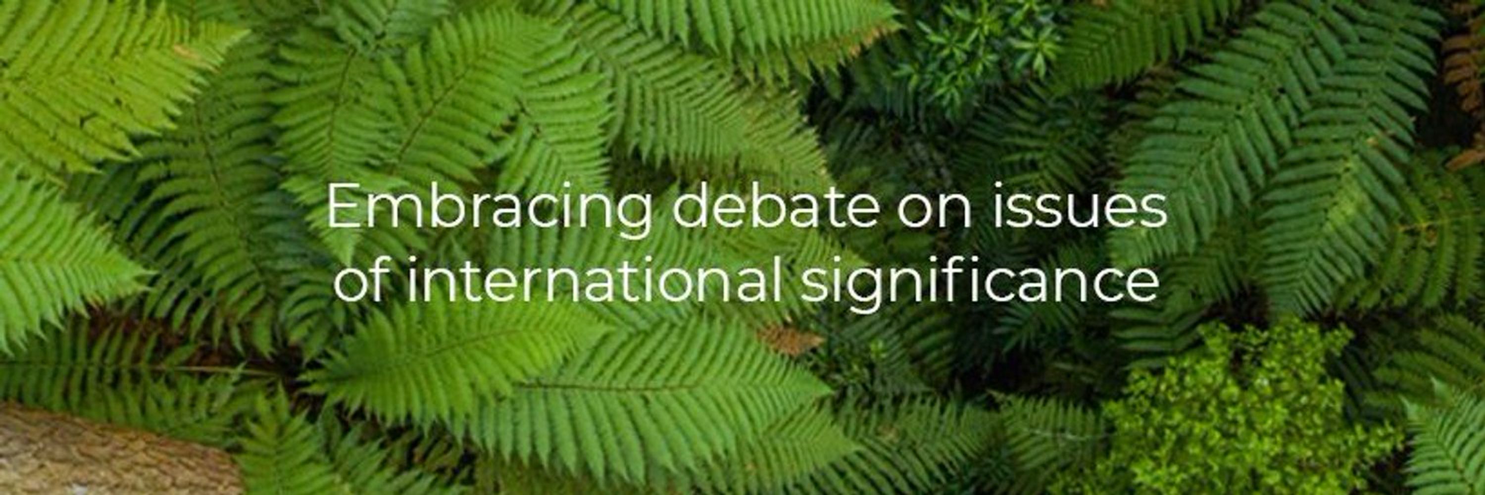 New Zealand Institute of International Affairs (NZIIA)