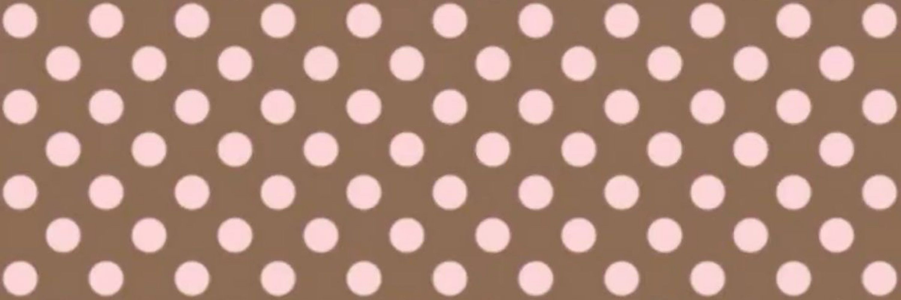 Dandan🧁🍩