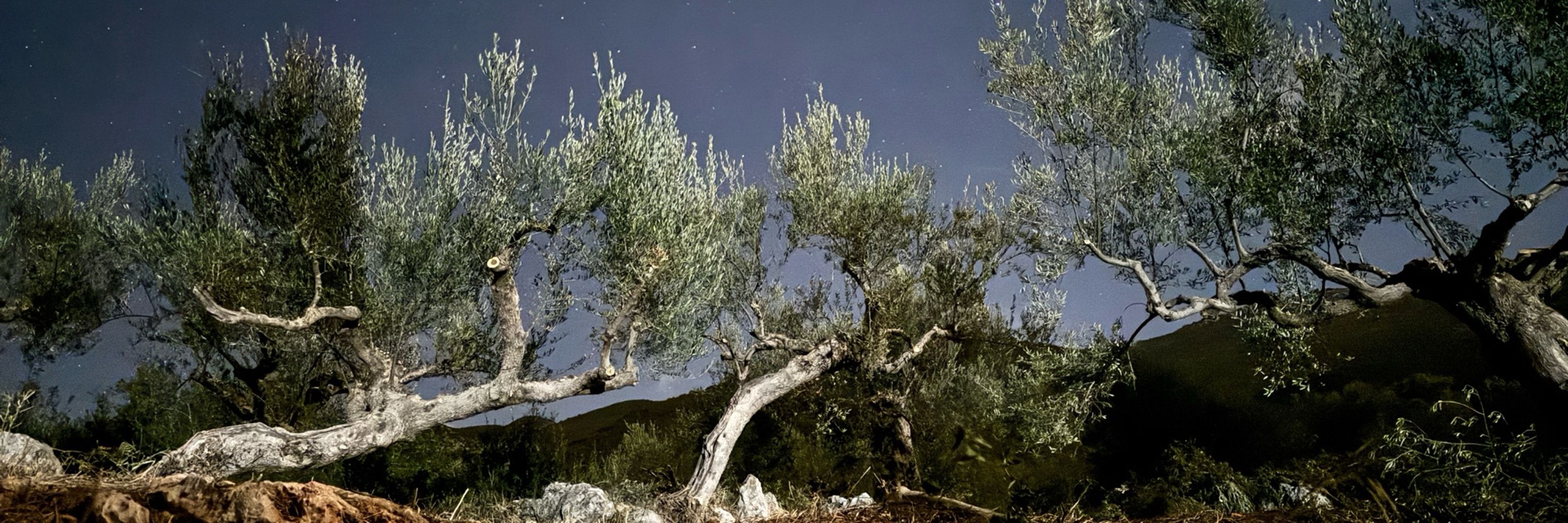 NIKOS CHRISIKAKIS Photographer-Filmmaker