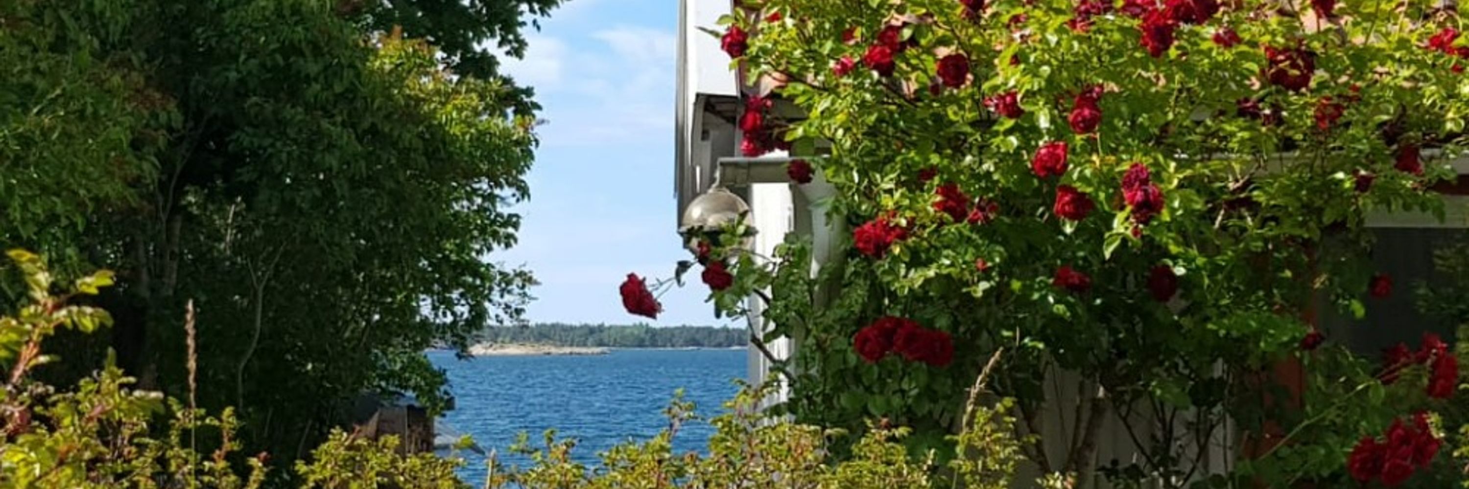 Jonna Voima