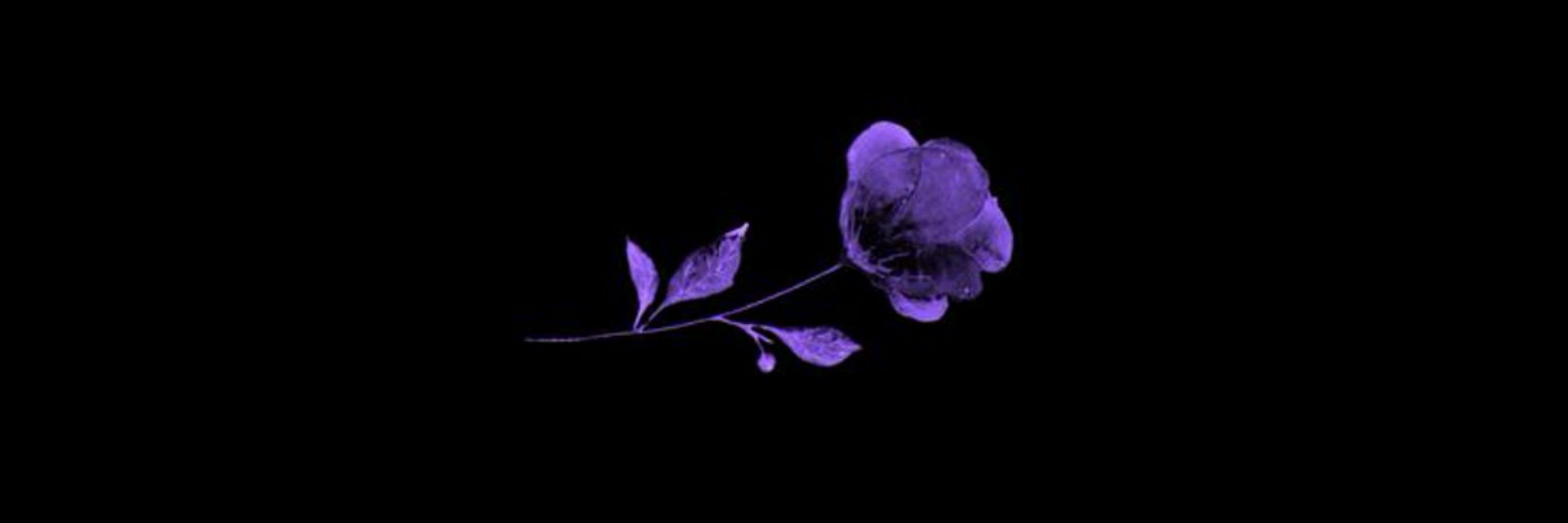 ͏ ͏ ͏ ͏͏ ͏ ͏ ͏ ͏ ͏ ͏ ͏͏ ͏ ͏ ͏ ͏死͏ ͏ ͏ ͏