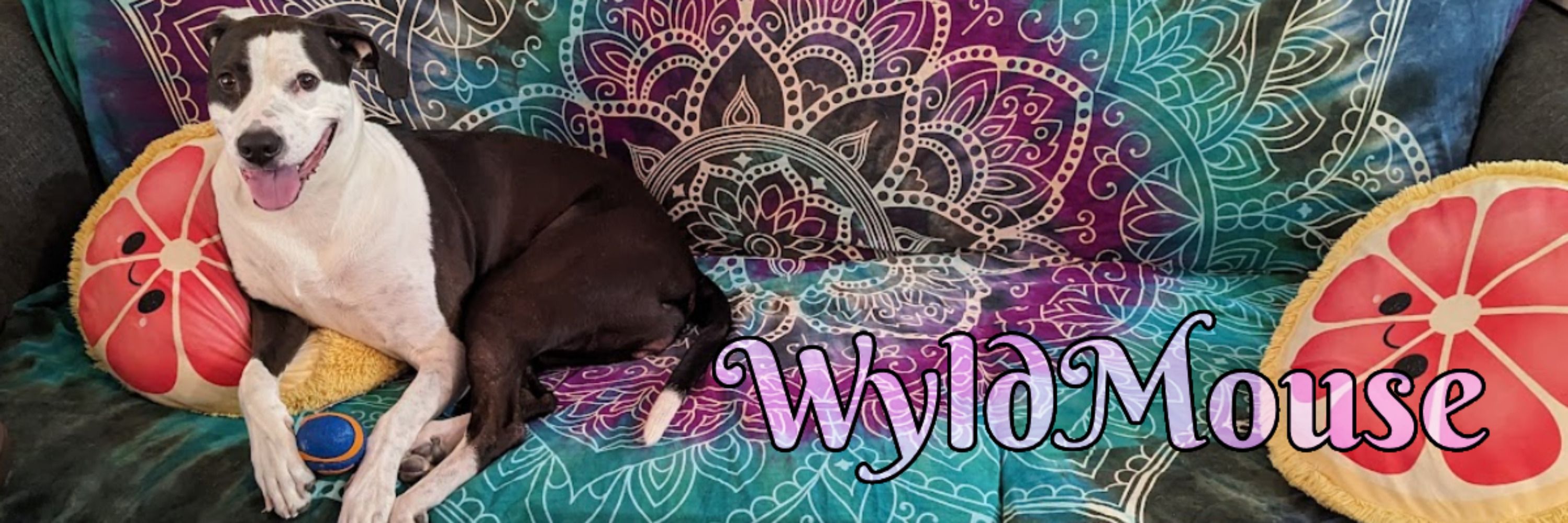 WyldMouse