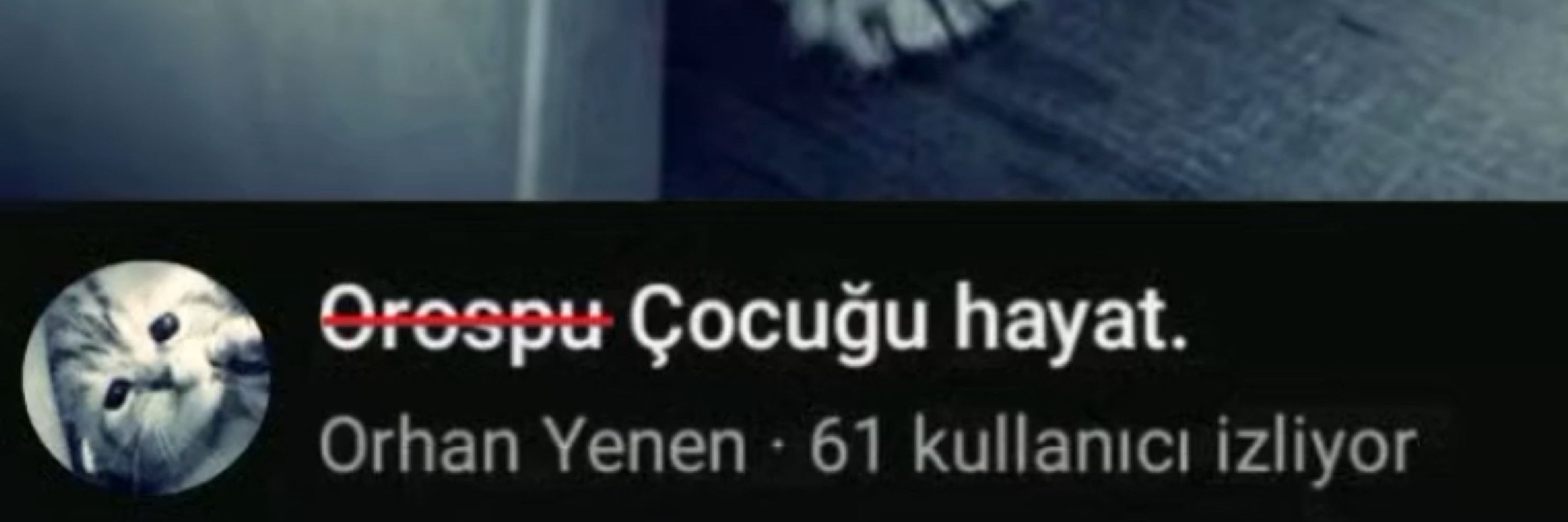 tuntun