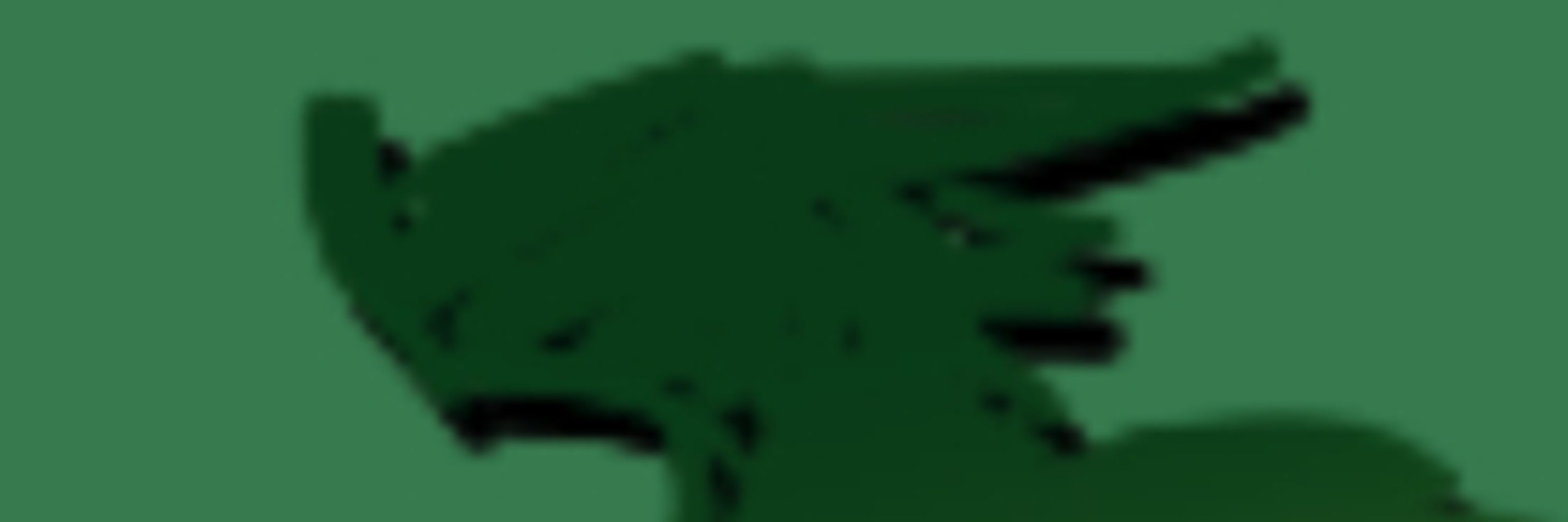 Ane