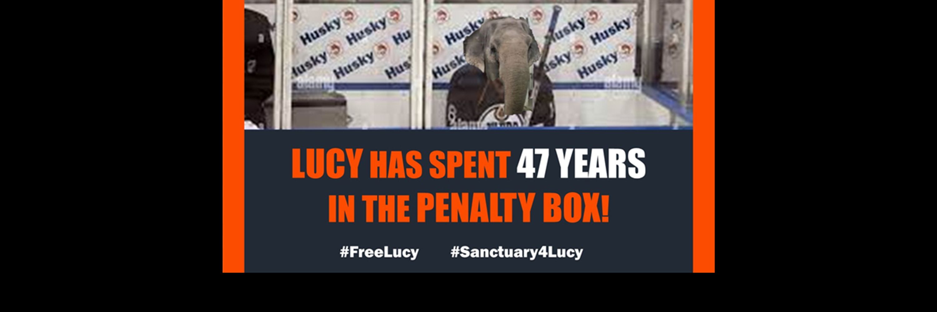 tj2vegas🎗🐘#FreeLucy🙏💪#TeamLucy