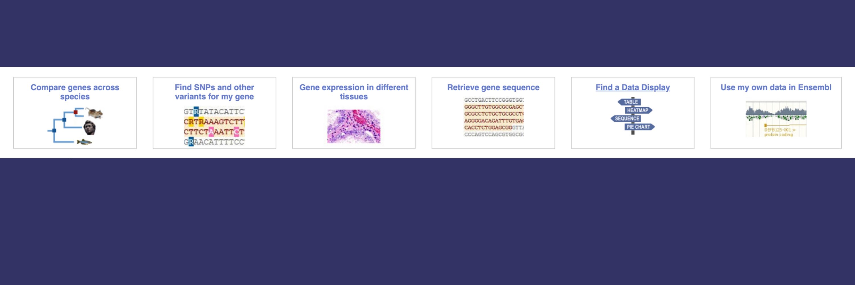 Ensembl