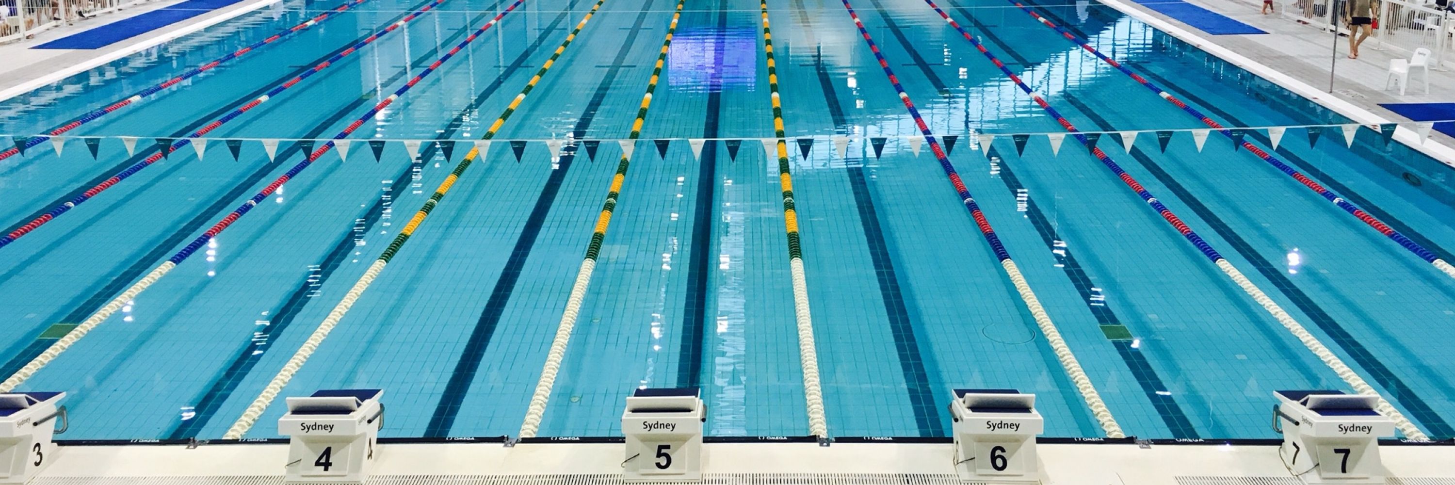 リサ🏊