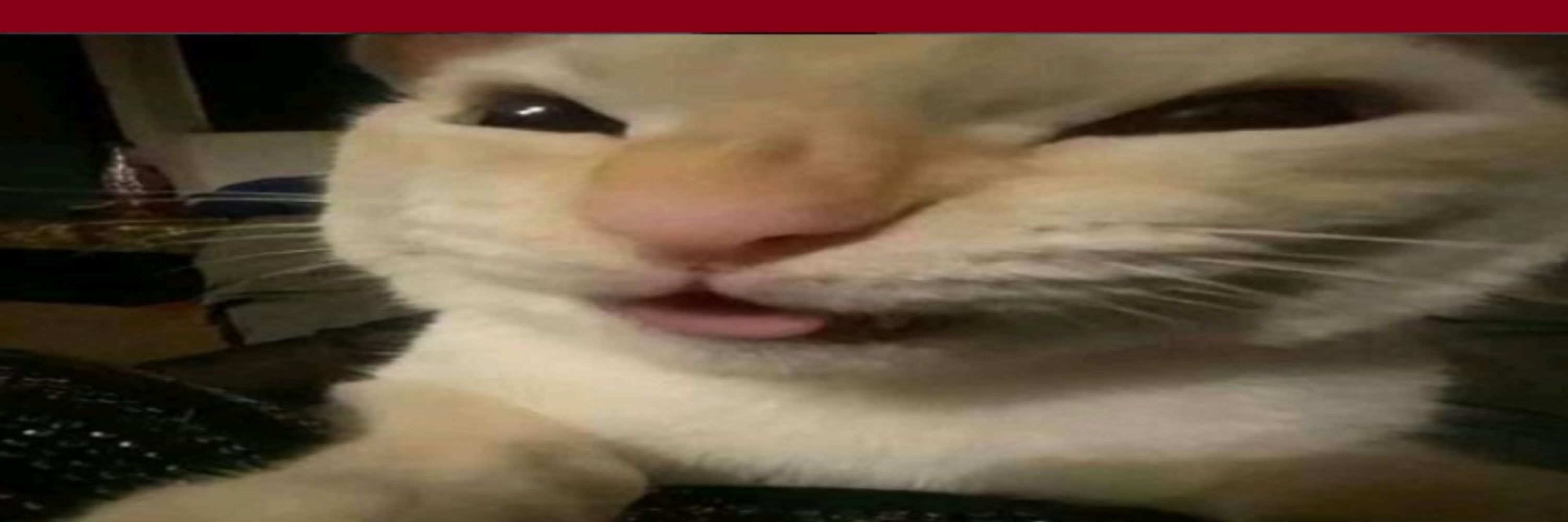 LeZoruark