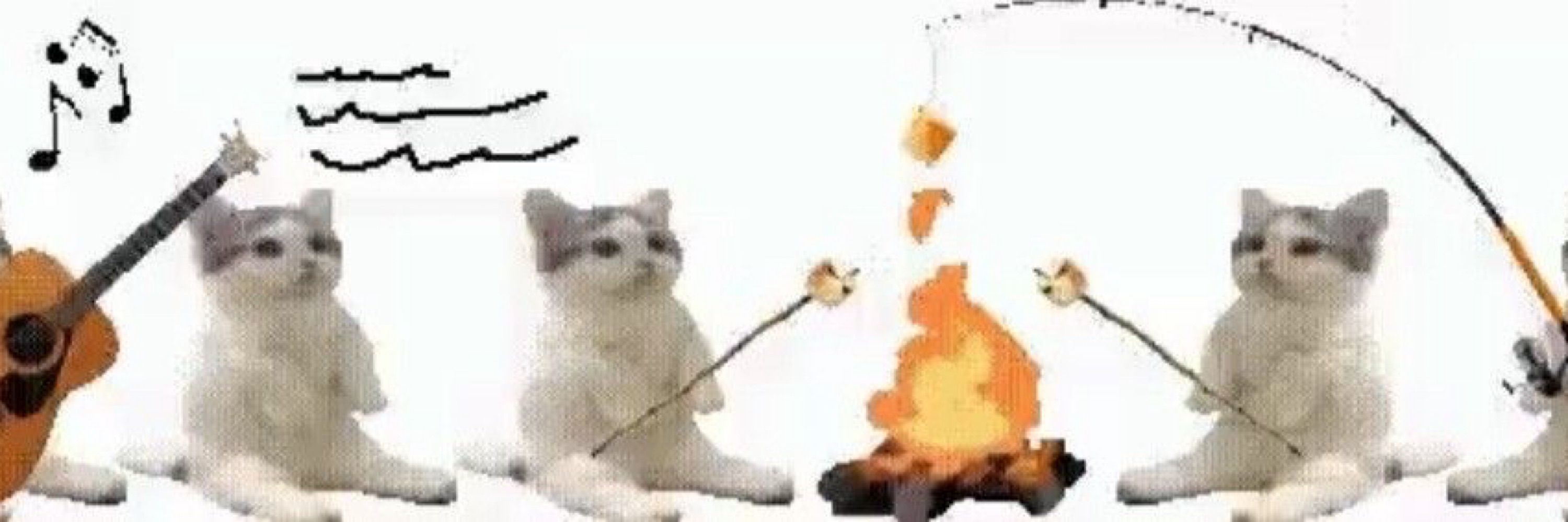 ๋࣭ ⭑ bong ✧˖°