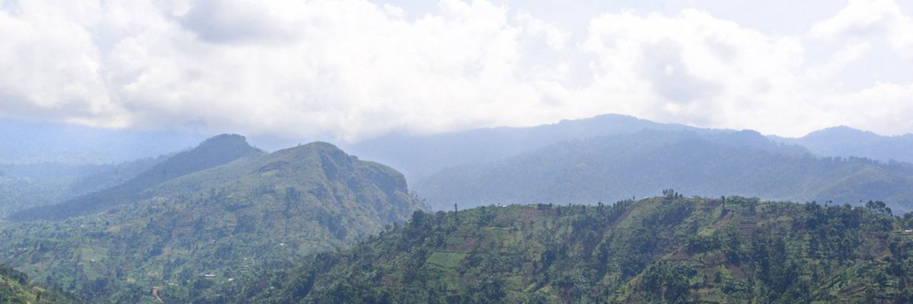Mukulu Matovu