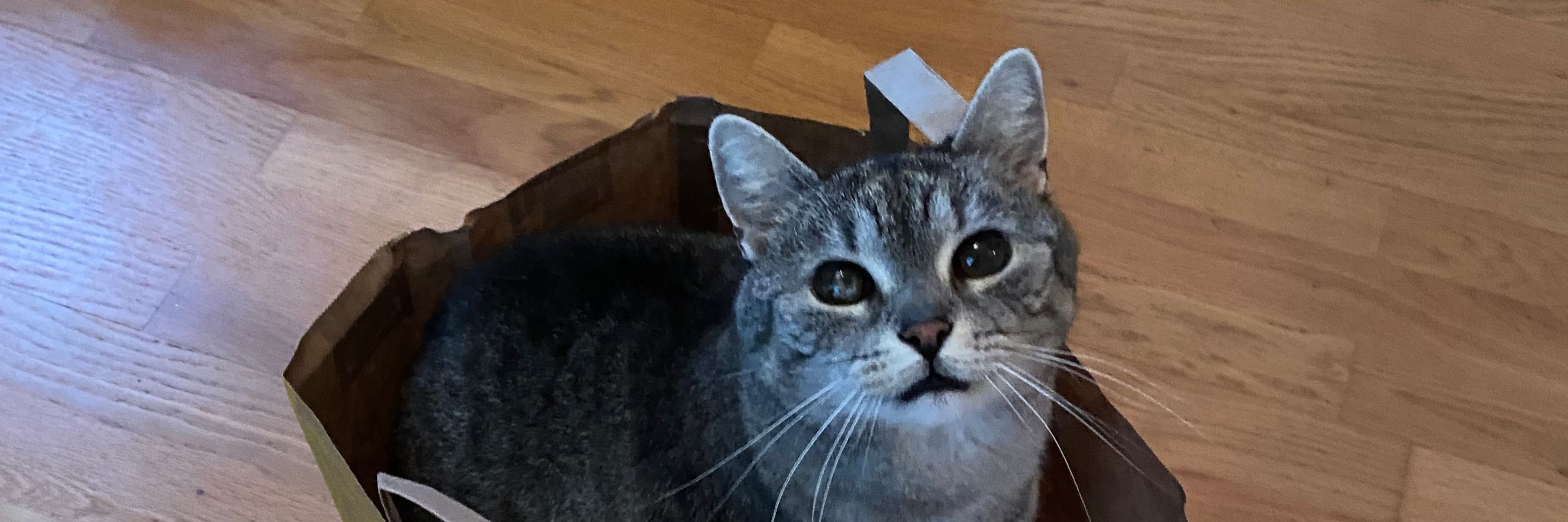 Felicitas 