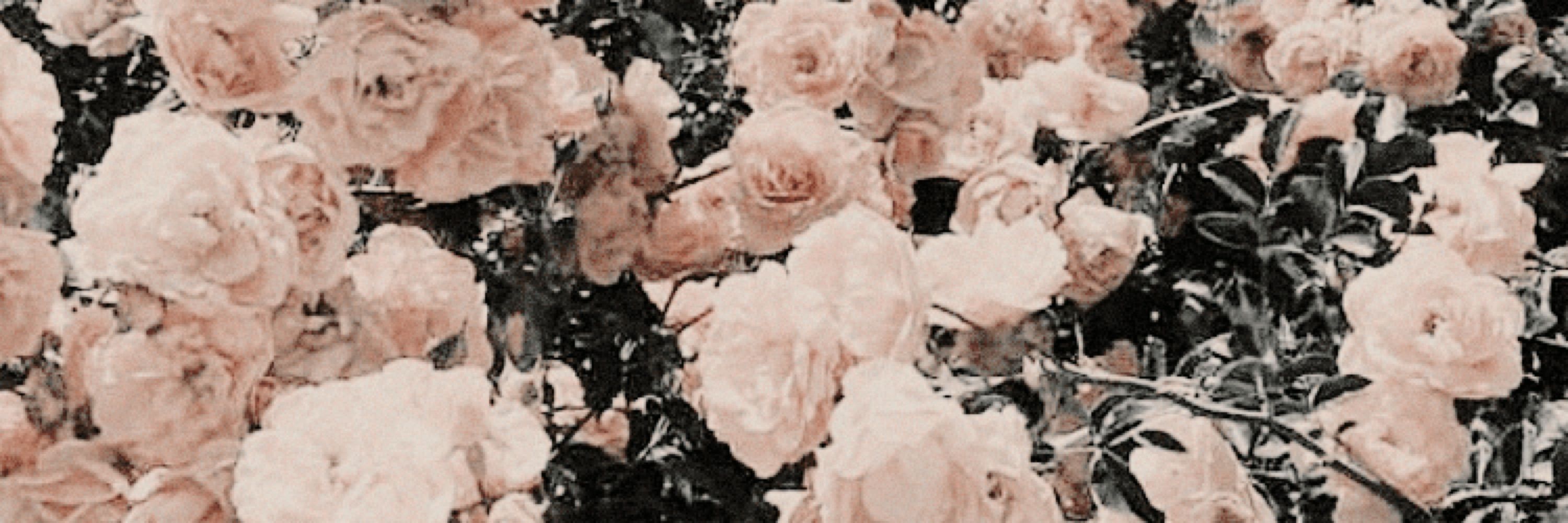 Salem Rose 🖤🦇