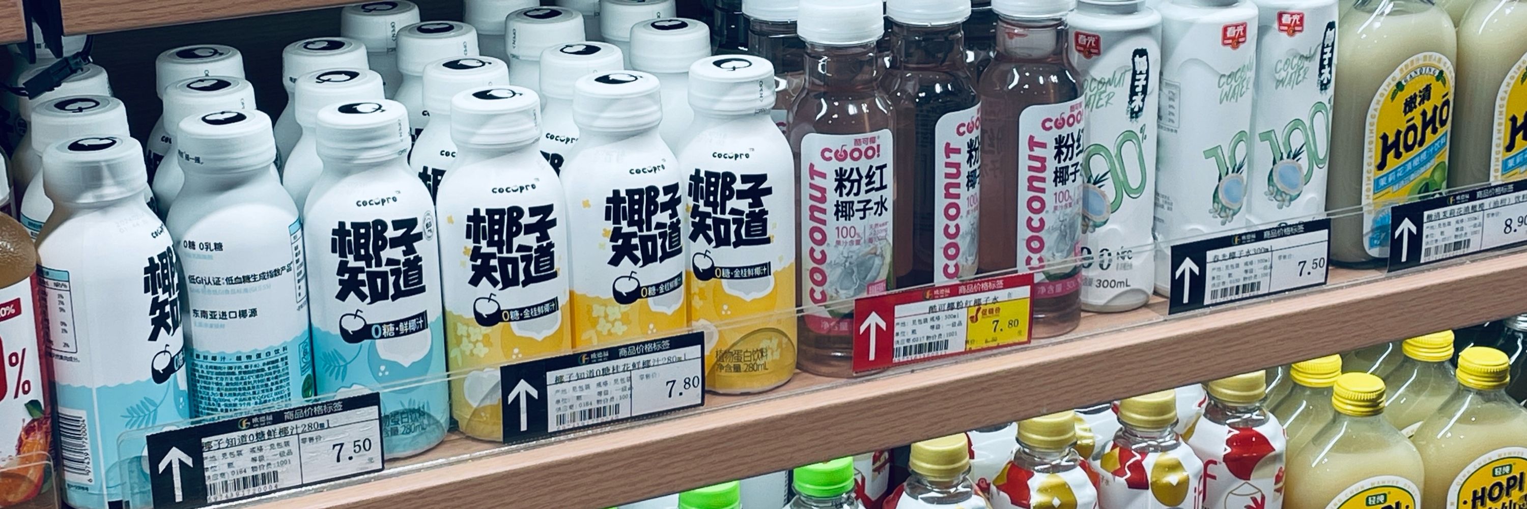 脆脆鲨