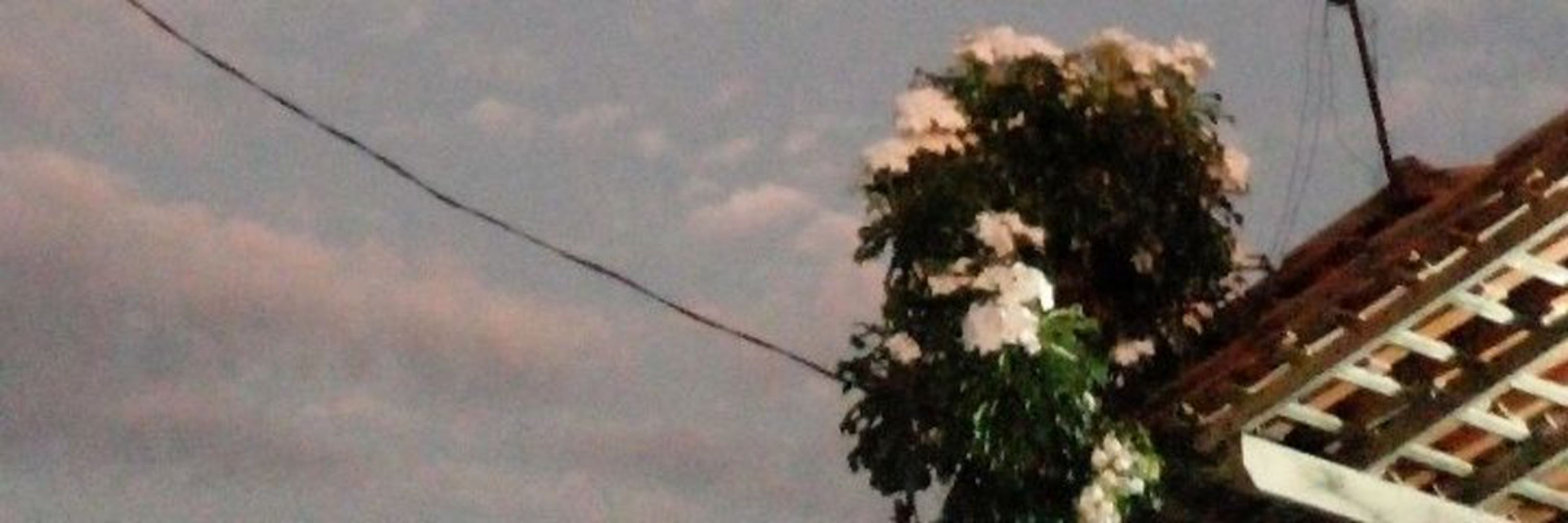 Isabela