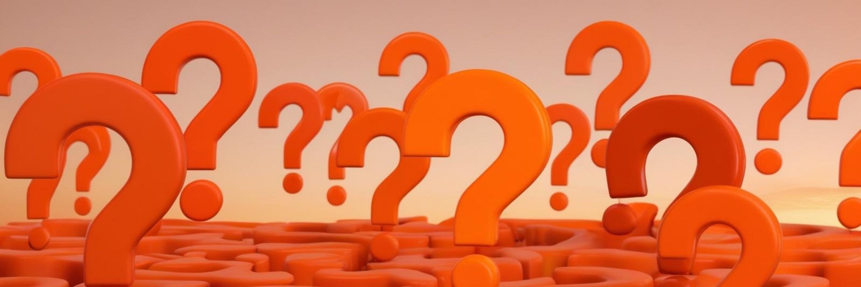 Ne? Neden? Nasıl?