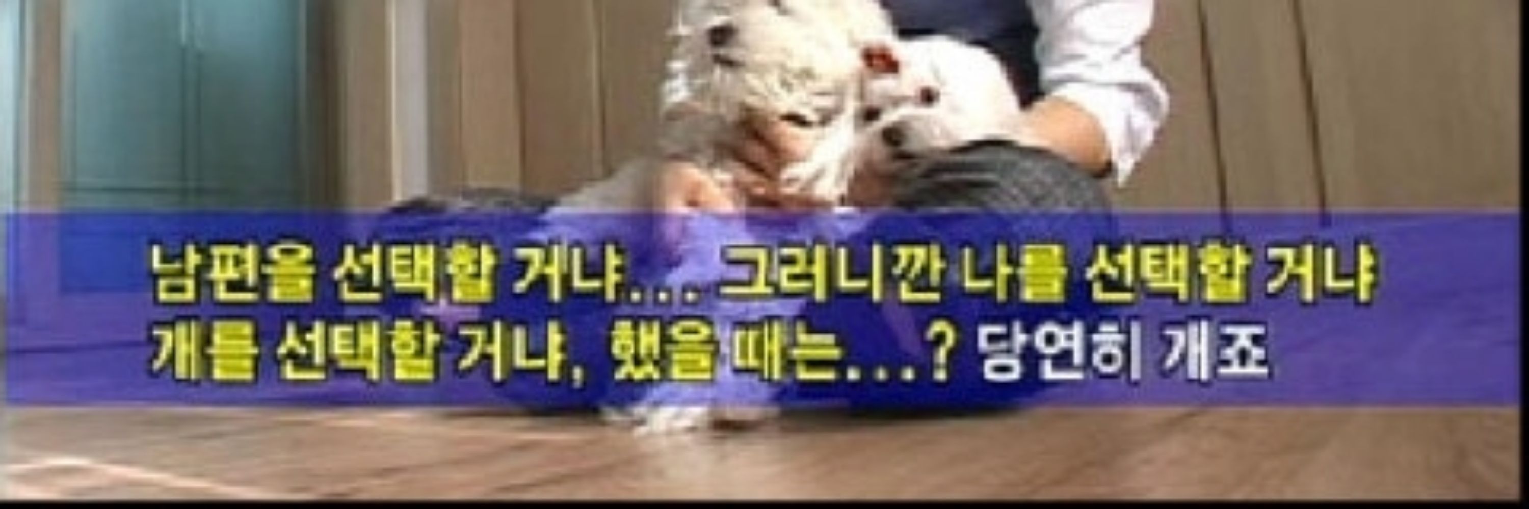 역정재판