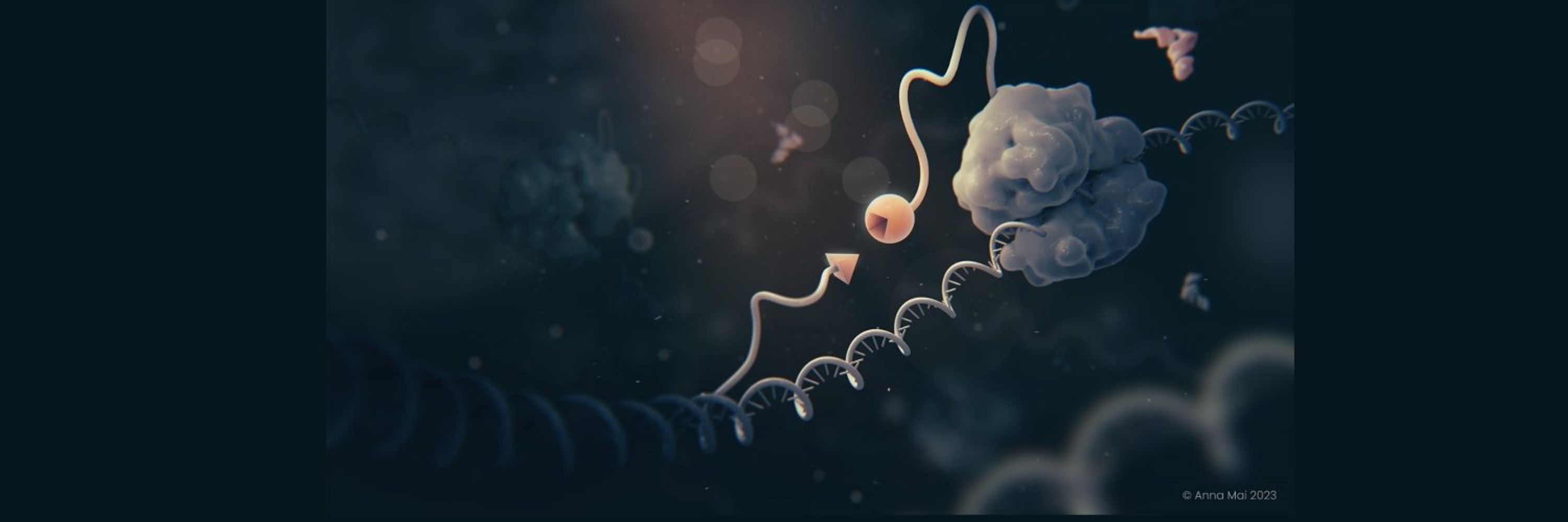 Infinity Bio Inc