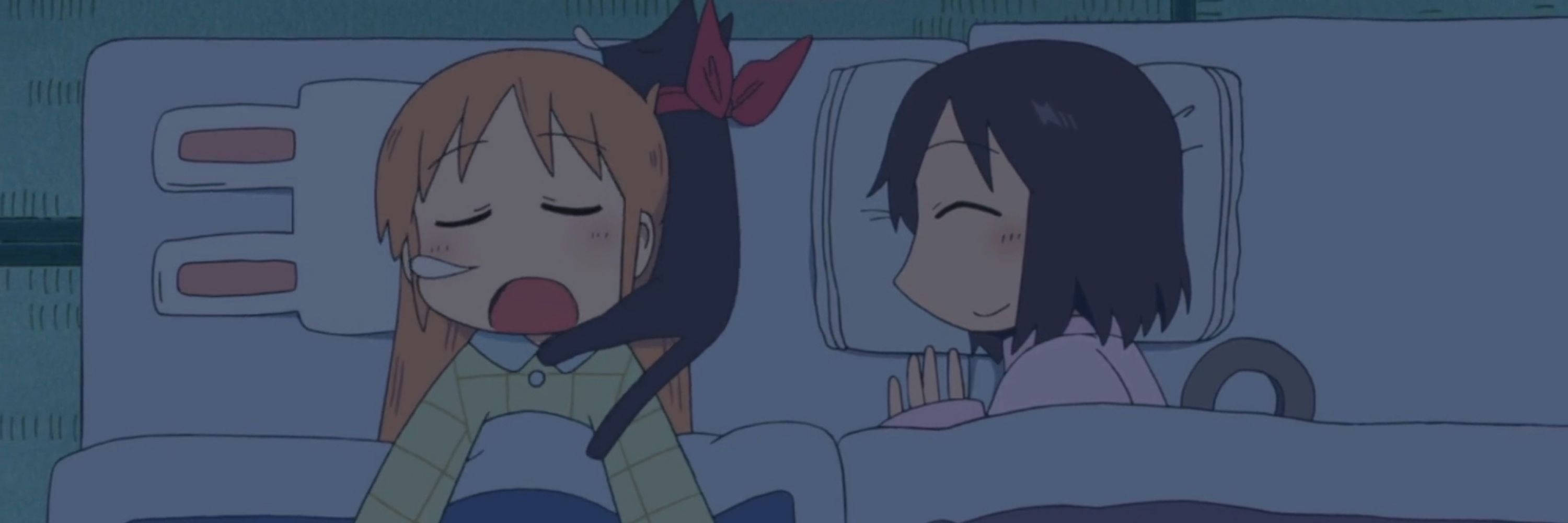 Occasional Nano