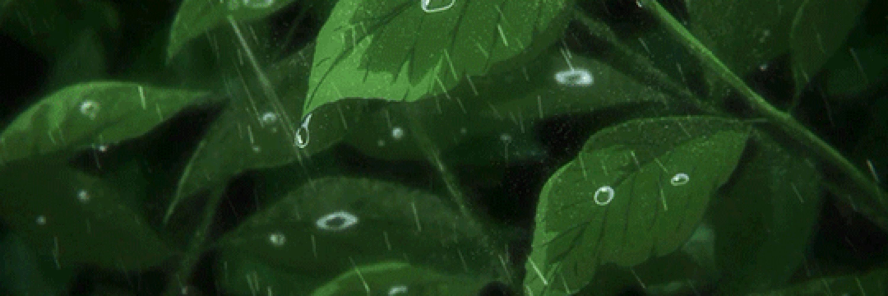 fiona.˚🌱୭ ˚.  ᵎᵎ