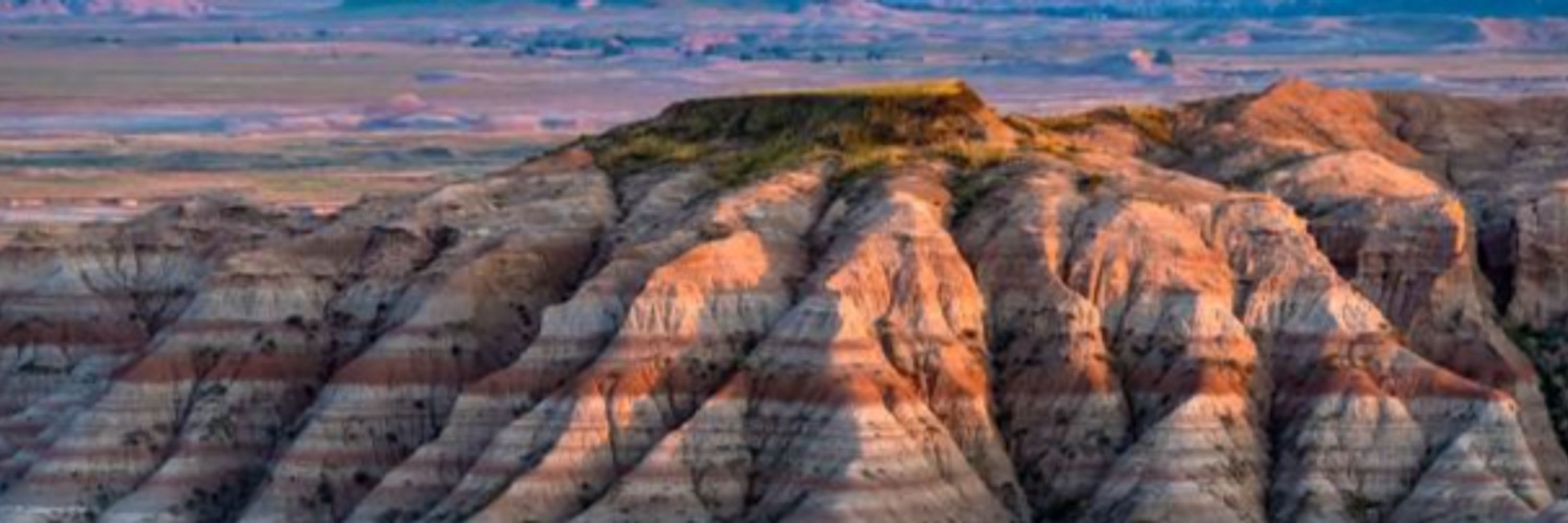 The ASFRchaeologist (18+)