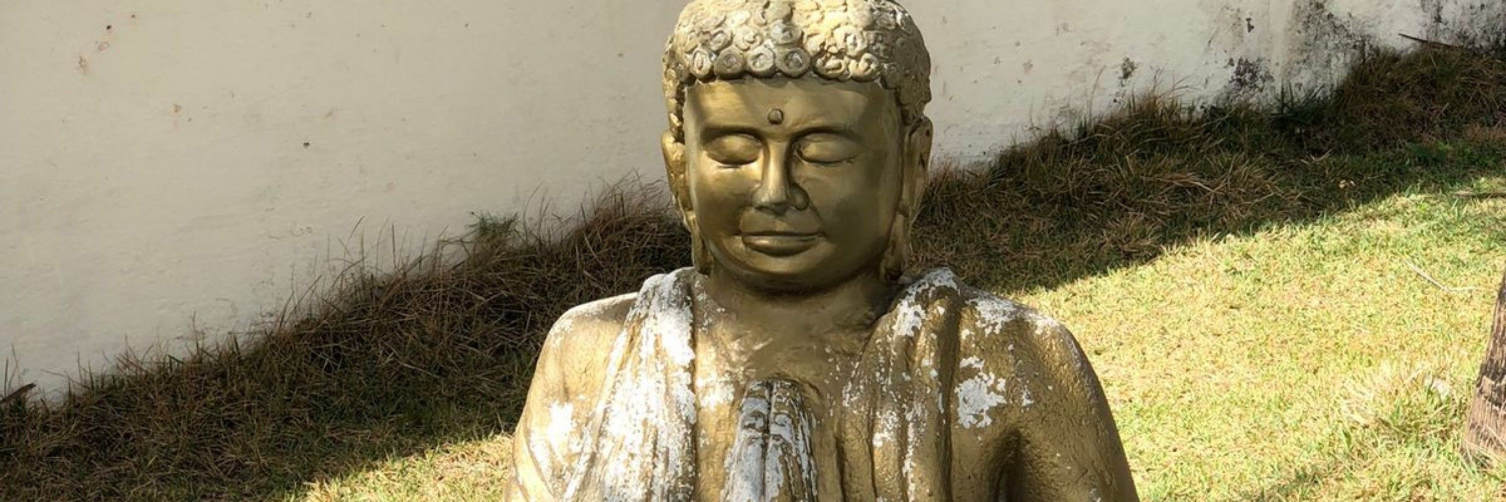 Mannu Régis 