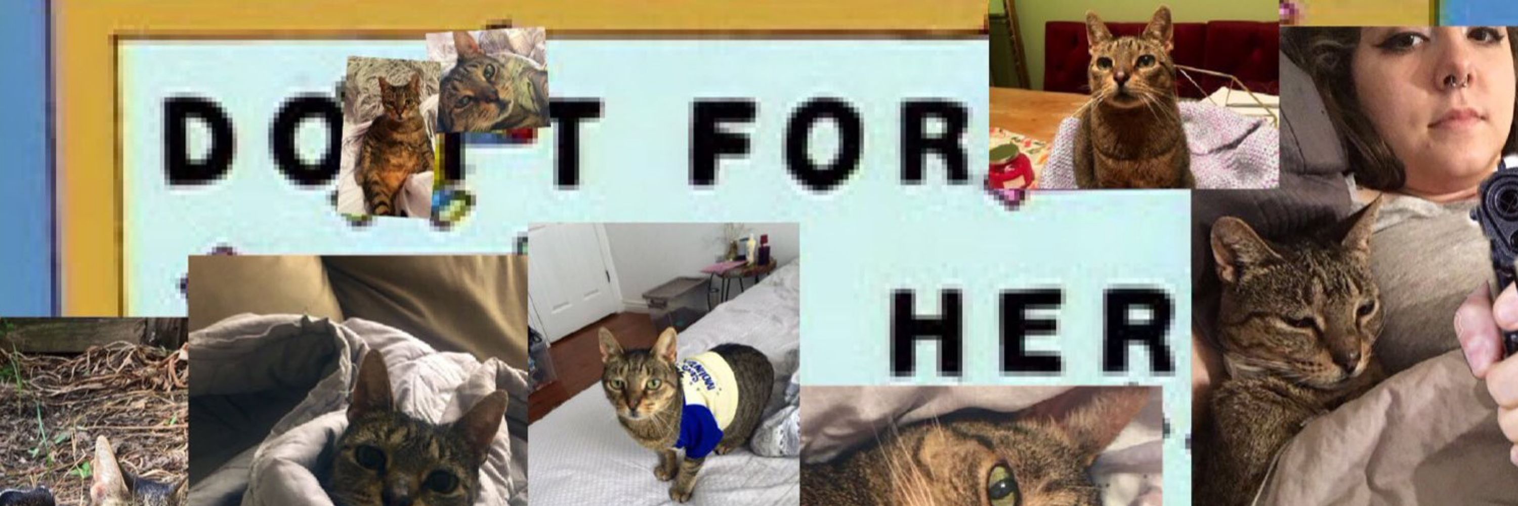 Lilbh0le