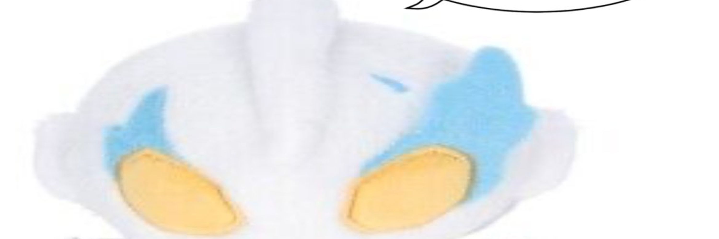 Ajxusjj Wewu