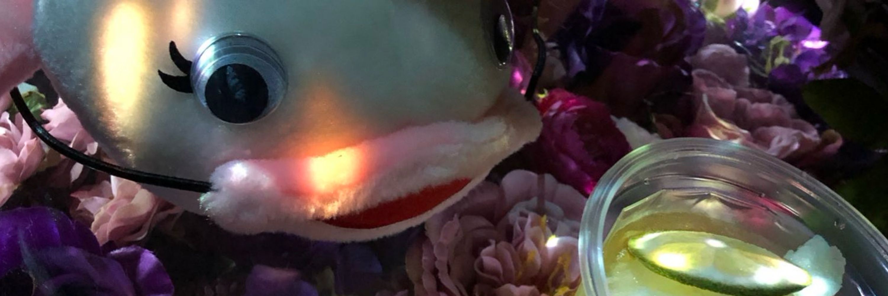 うっちーぽっぽる