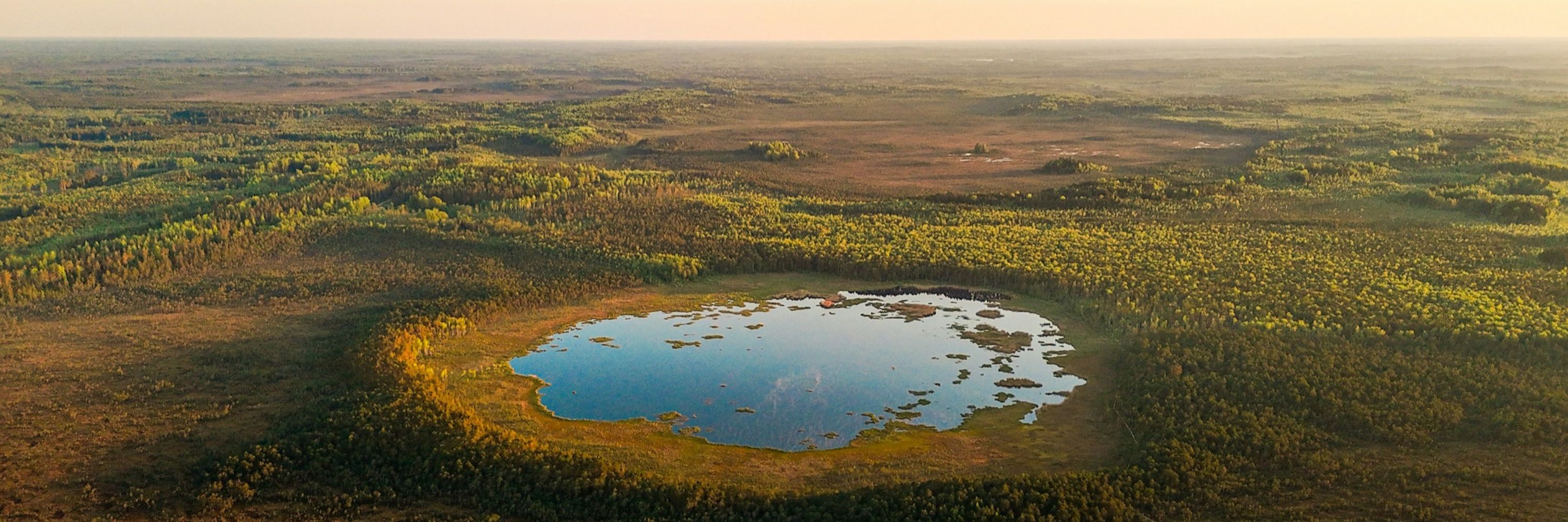 International Peatland Society