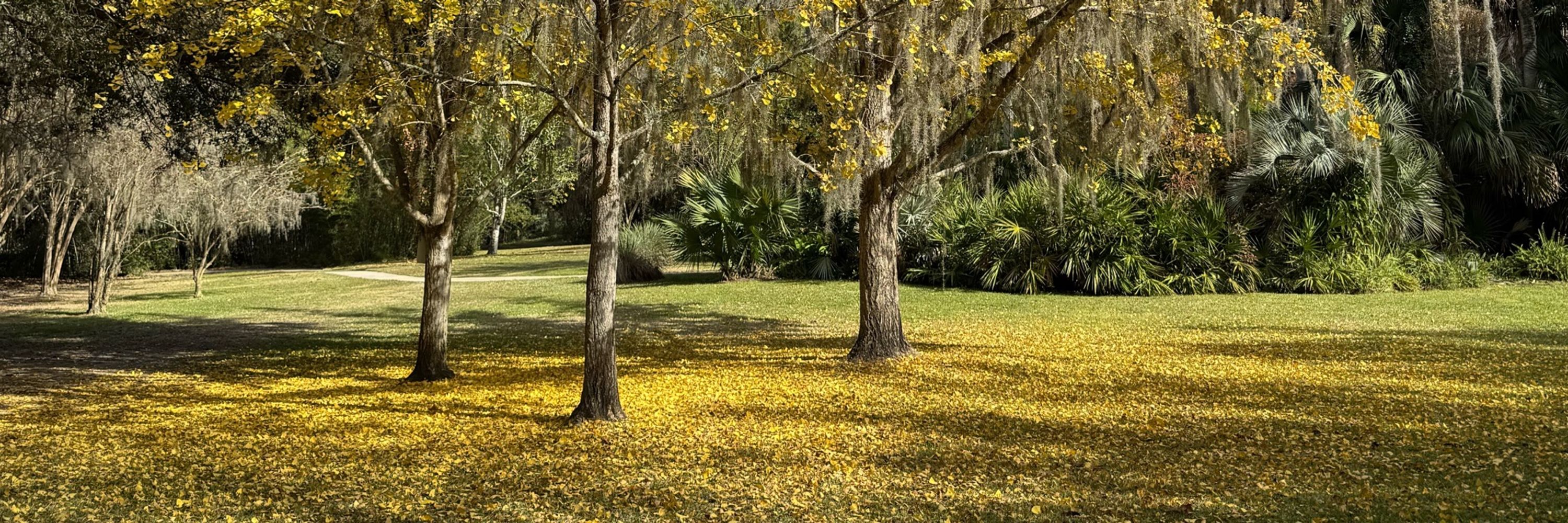 Susan Torgerson James