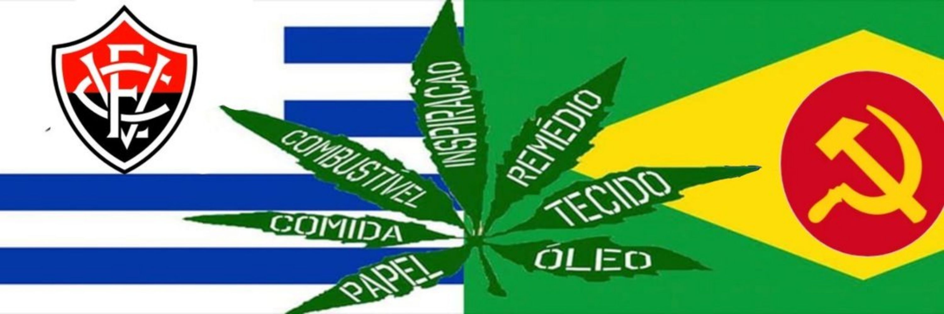 palo