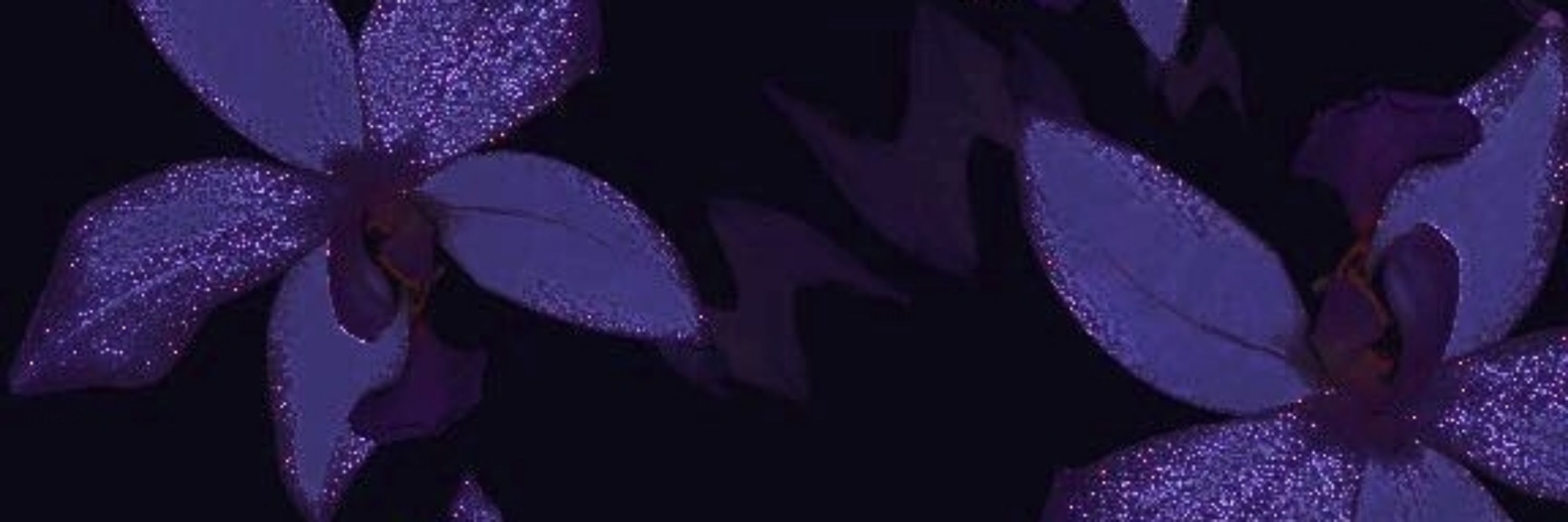 Natalie 💜