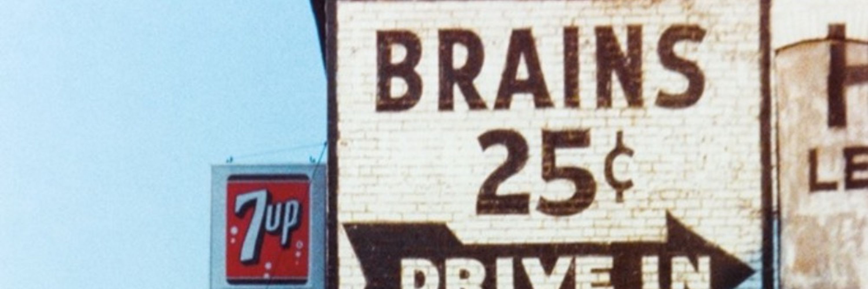 Brains