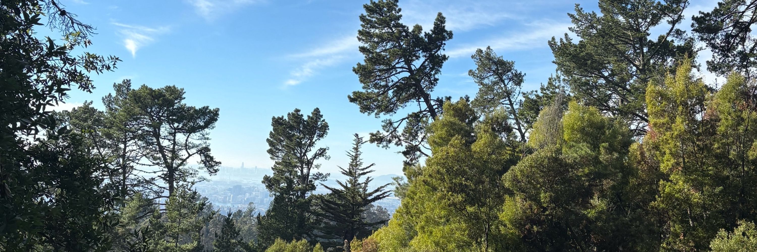 Skylla Mumana