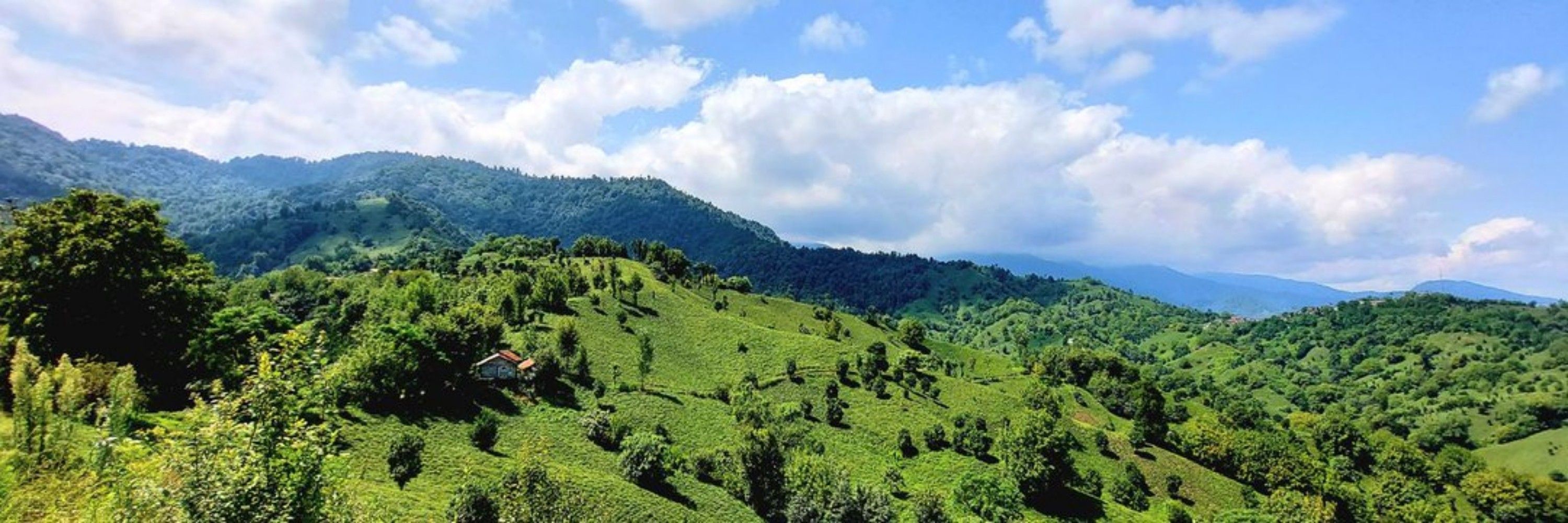 Bahram