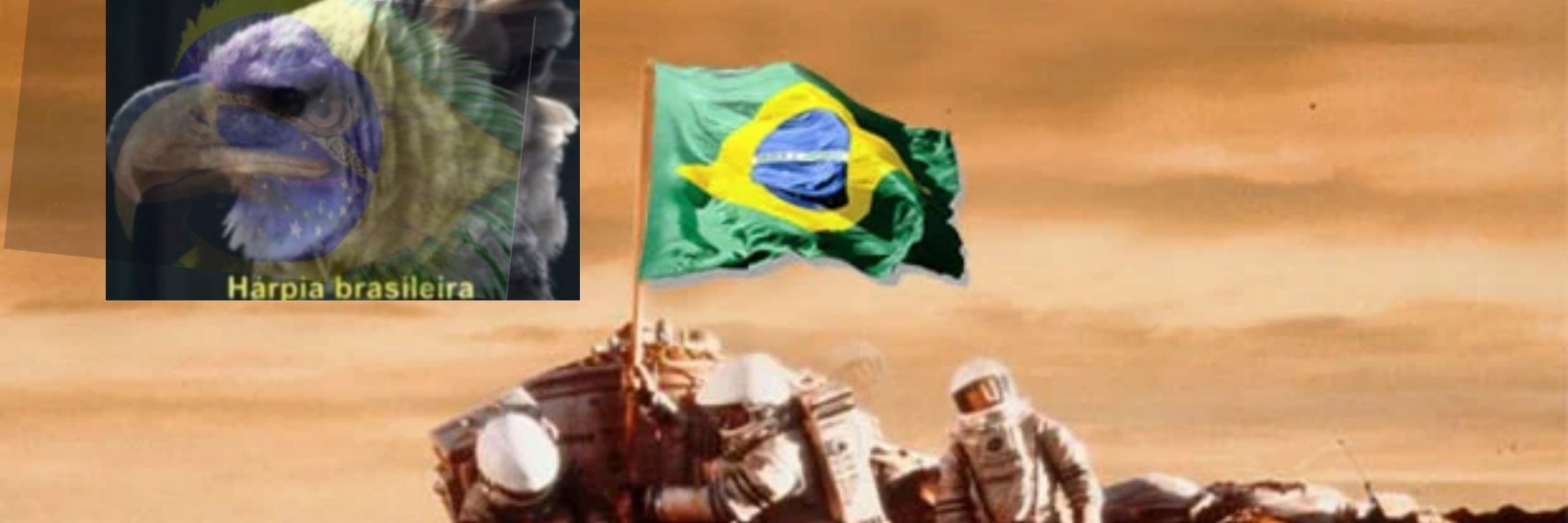 JONATHAS SOARES