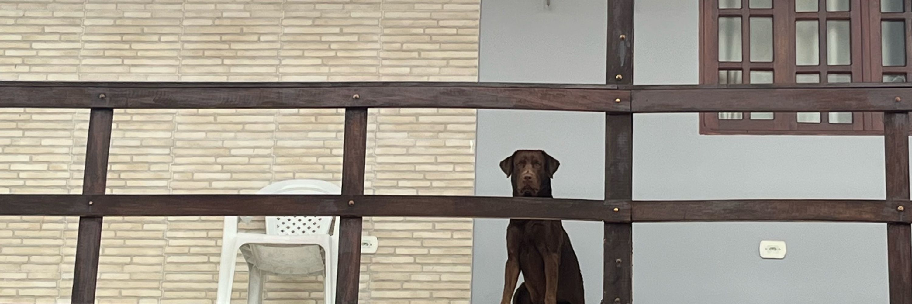Beto