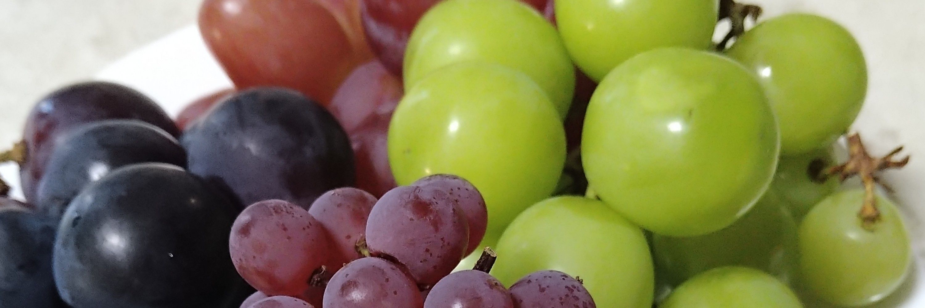 🍇丸み🍇