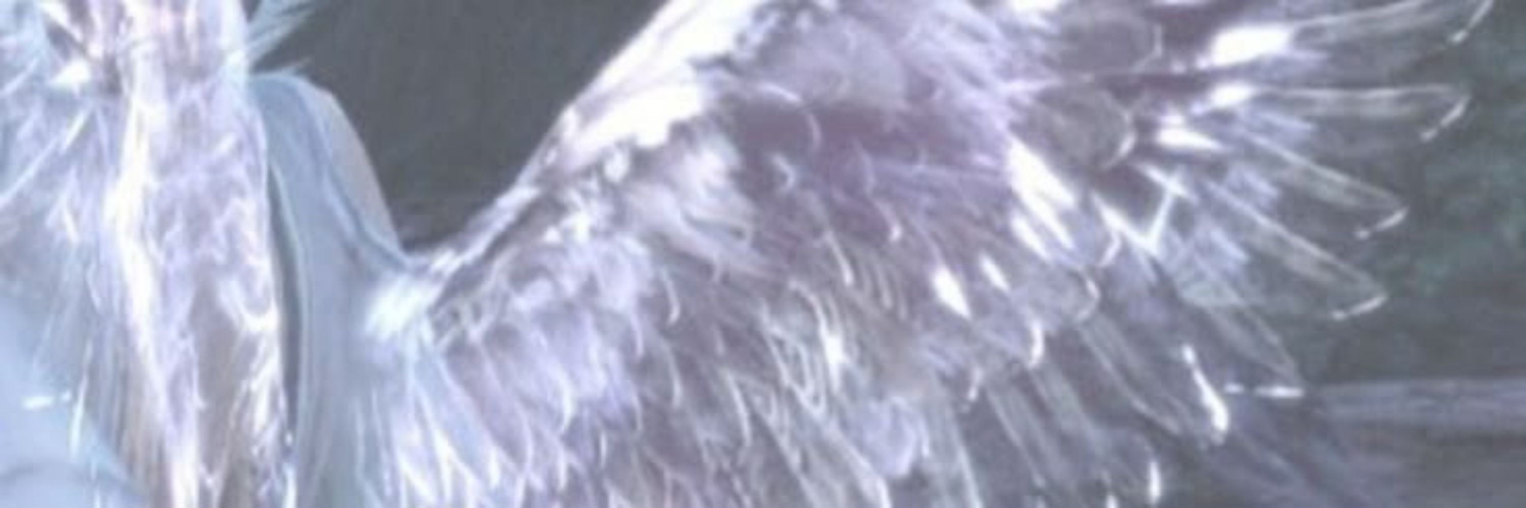 ★̶̲· 𝐃rake's secret chamber