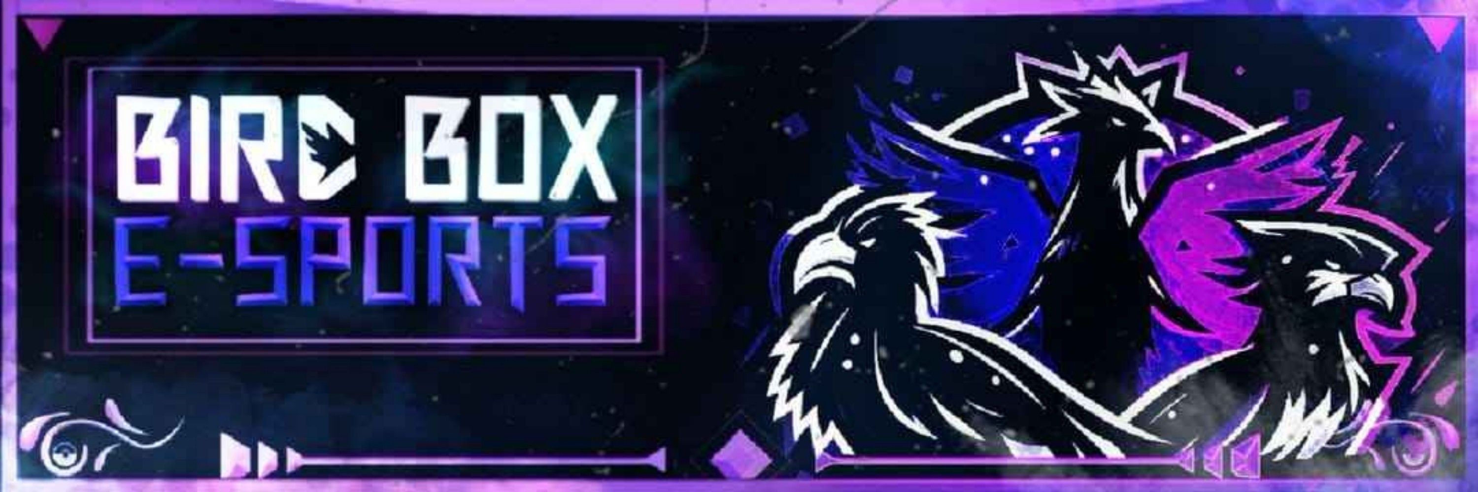 Bird Box E-Sports 🪽